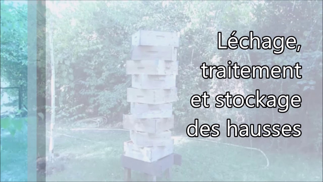 Le léchage, le traitement et le stockage des hausses