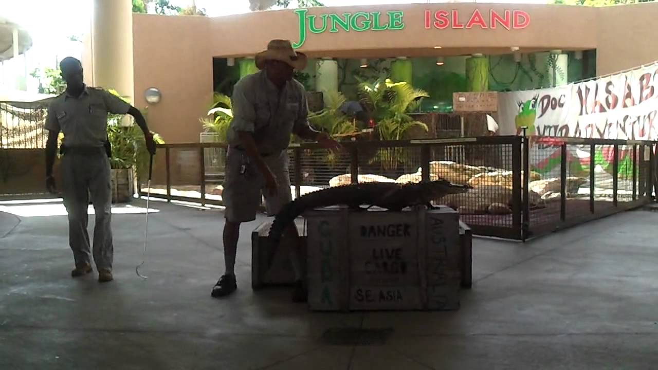 Jungle Island  О животных