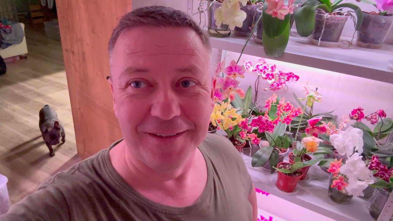 пол НОЧИ провозился с НИМИ, а если НИЧЕГО НЕ ДЕЛАТЬ ТО И НИЧЕГО НЕ БУДЕТ ПРОИСХОДИТЬ в ЖИЗНИ