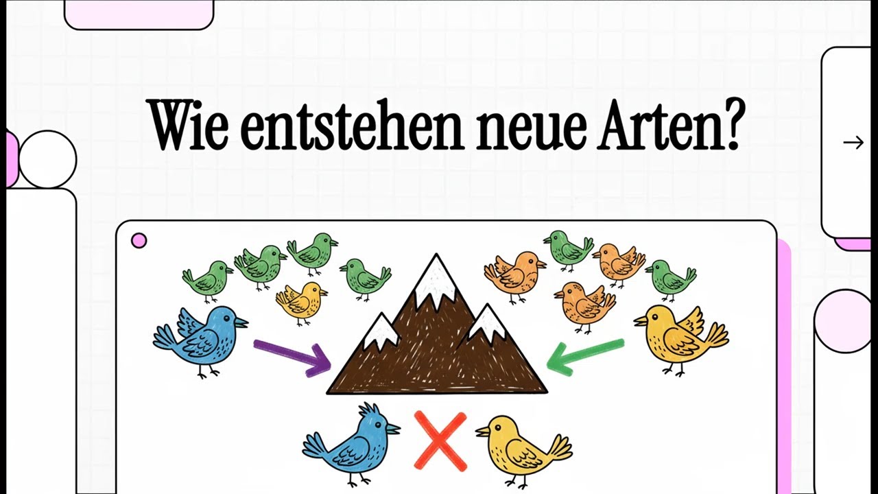 Synthetische Evolutionstheorie | EINFACH ERKL&Auml;RT