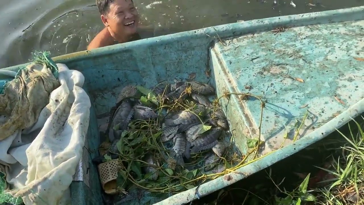 Anh Em Kéo Mẻ Lưới Quá Nhiều Cá Rô Phi Cá Lóc
