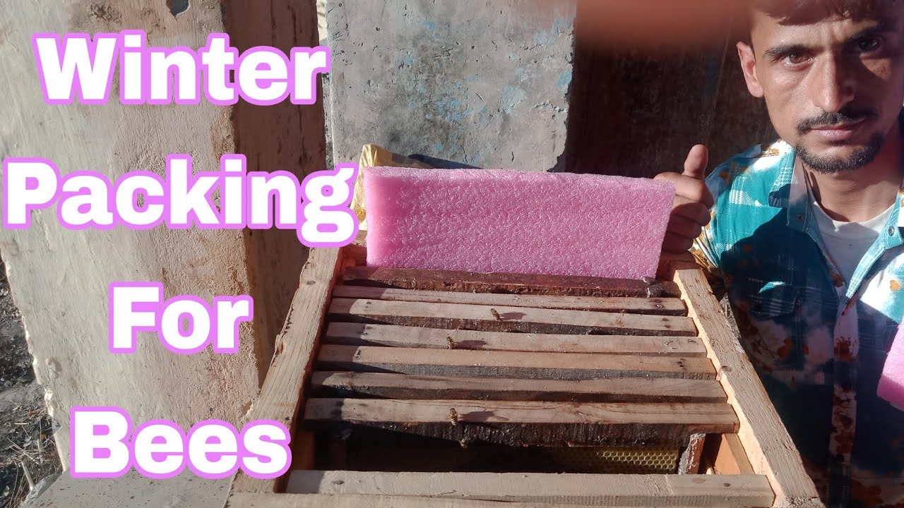 Winter Packing For Bees | Beekeeping At Home
