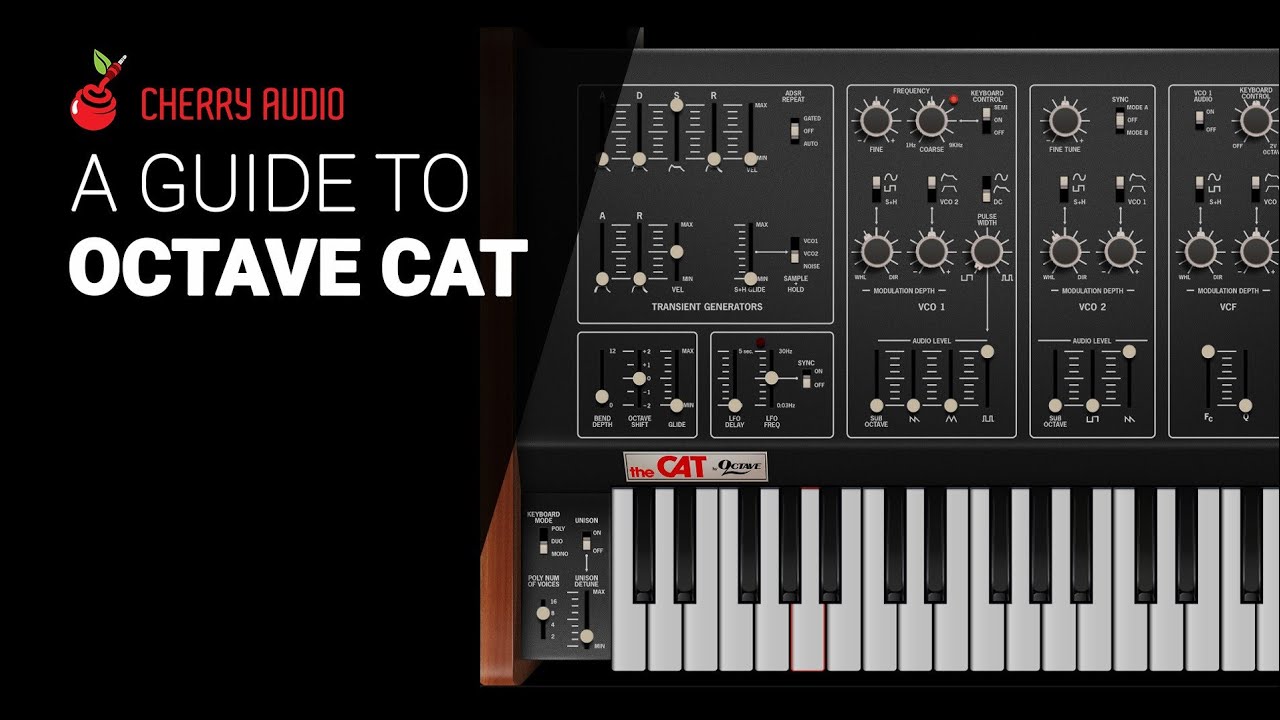 A deep dive to Octave Cat from Cherry audio