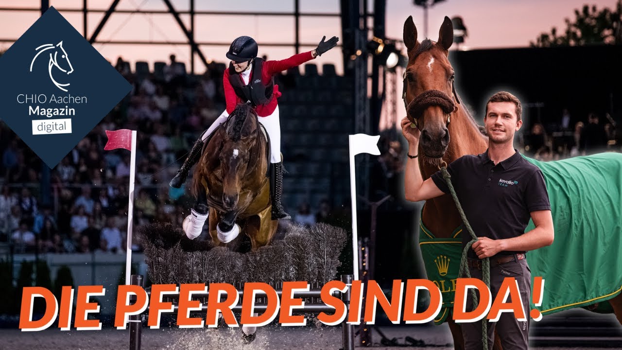 Große Anreise mit Gerrit Nieberg & Siegerpferd Ben! 🐴😍 Showtime bei Lisa Röckener & Lottie Fry ✨
