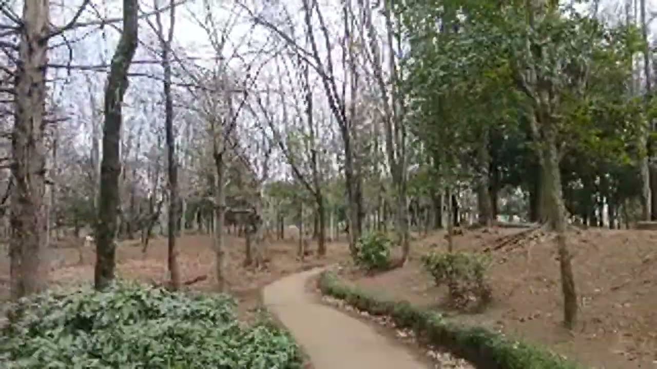 再開‥お散歩ライブ配信中🚶‍♂️🚶