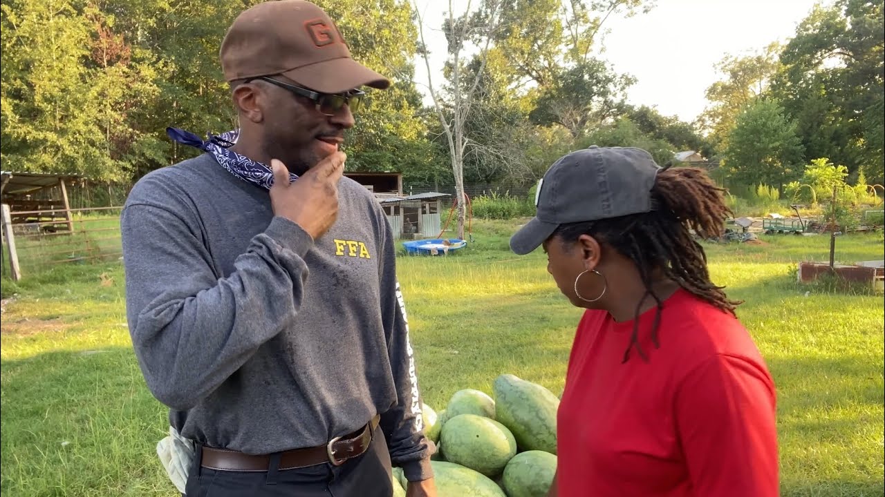 FAKE WATERMELON 🍉- How To Avoid It!