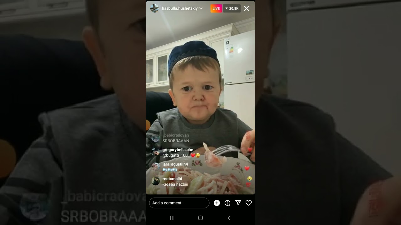 hasbulla hushetskiy live on Instagram