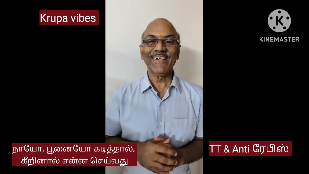 நாயோ பூனையோ கடித்தால் கீறினால் உடனே என்ன செய்வது | If dog or cat bites or scratches - precautions |