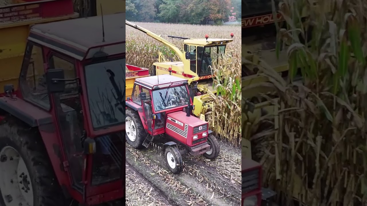 New Holland 2305 380 HP Animal Feed Mill #reaper #modern #agriculture #viralvideo #shorts