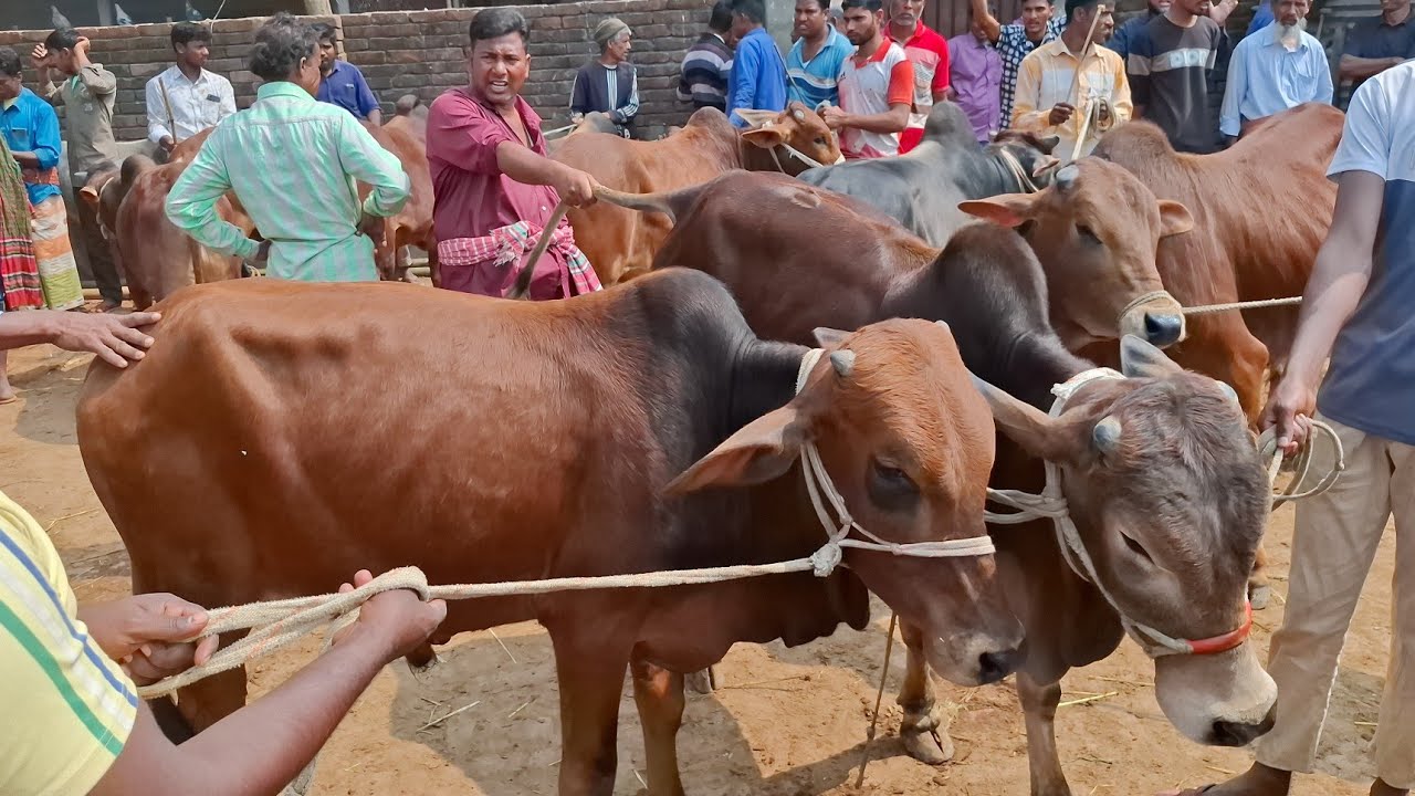 @আজ ১ মার্চ