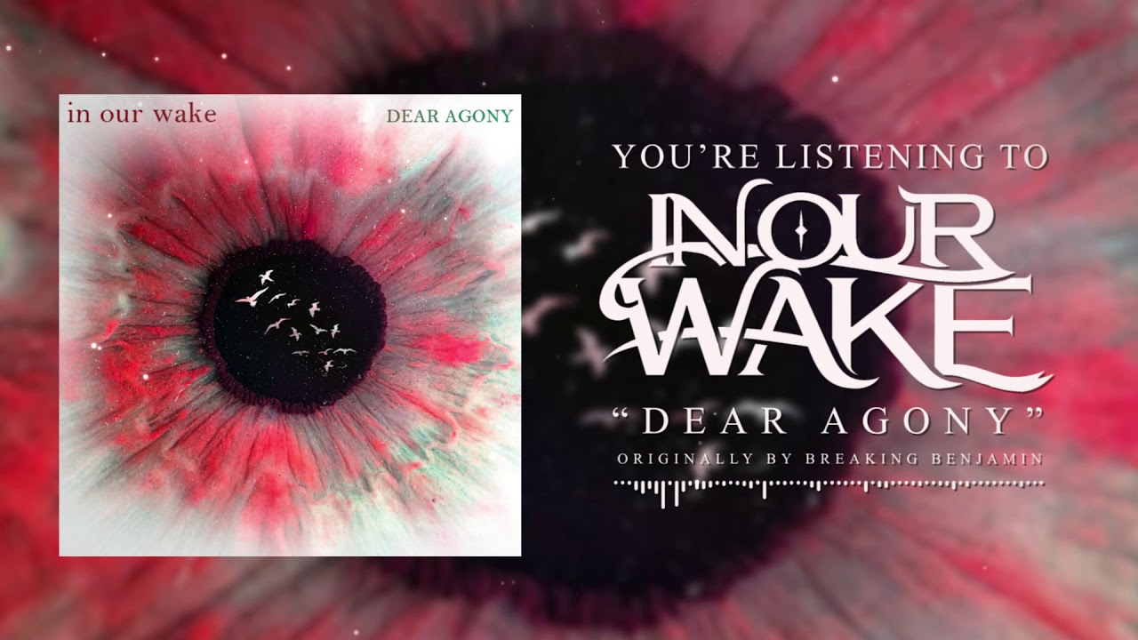 In Our Wake - Dear Agony (Acoustic Cover) Originally by Breaking Benjamin