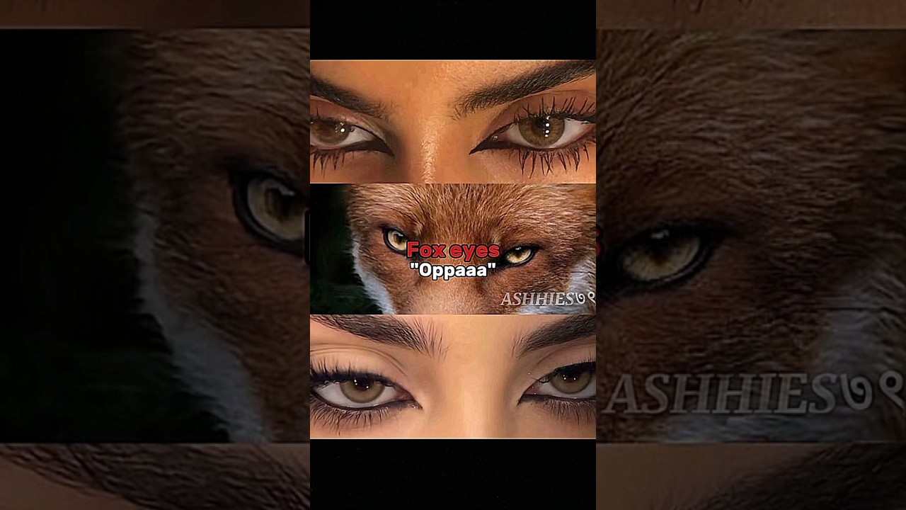 Fox eyes 🦊