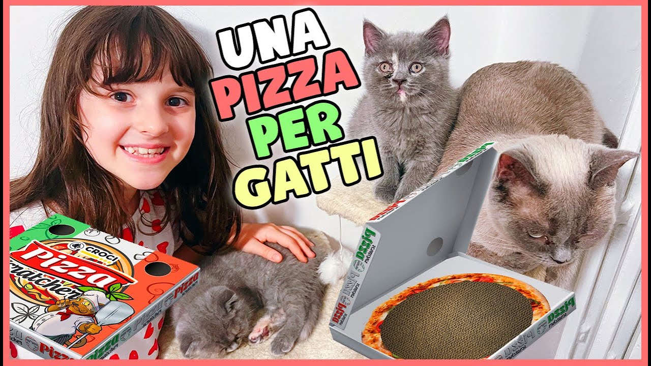 😸 REGALIAMO UNA PIZZA AI GATTI 🍕 Allarme cuccioli 😻