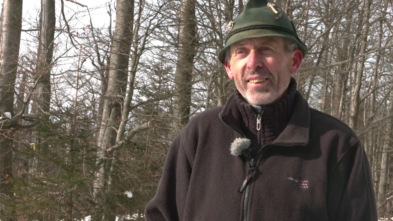 Schneeschuhwandern Hirschenstein
