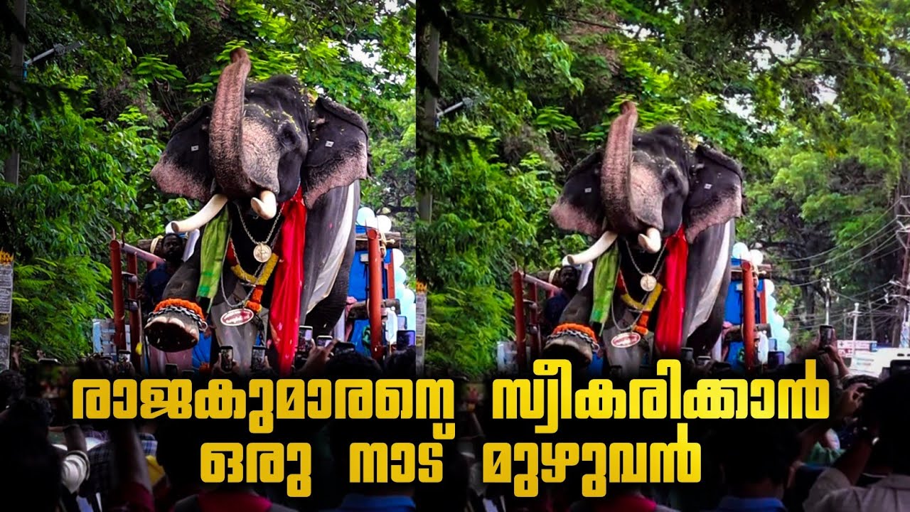 ഒരു ആനയെയും കാത്ത് ഒരു നാട് മുഴുവൻ | Peroor Sivan Come Back After Thrissur Pooram