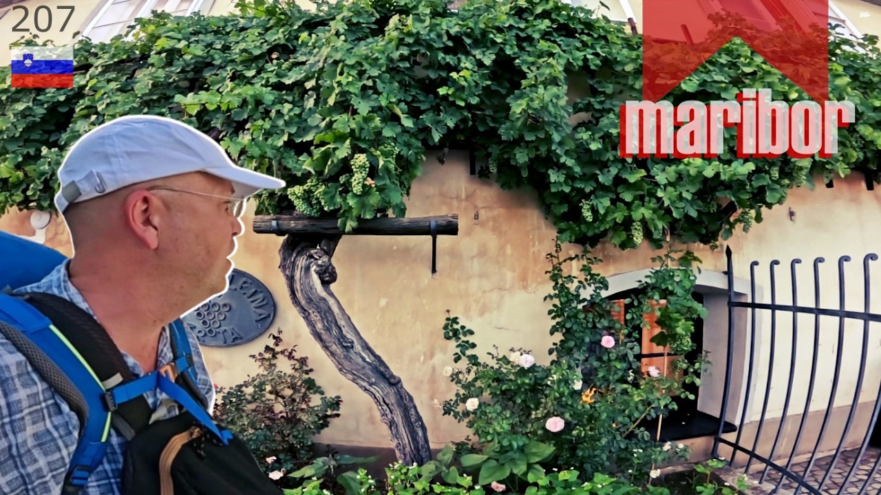 Maribor, Slovinsko (Kolem světa 207. díl)