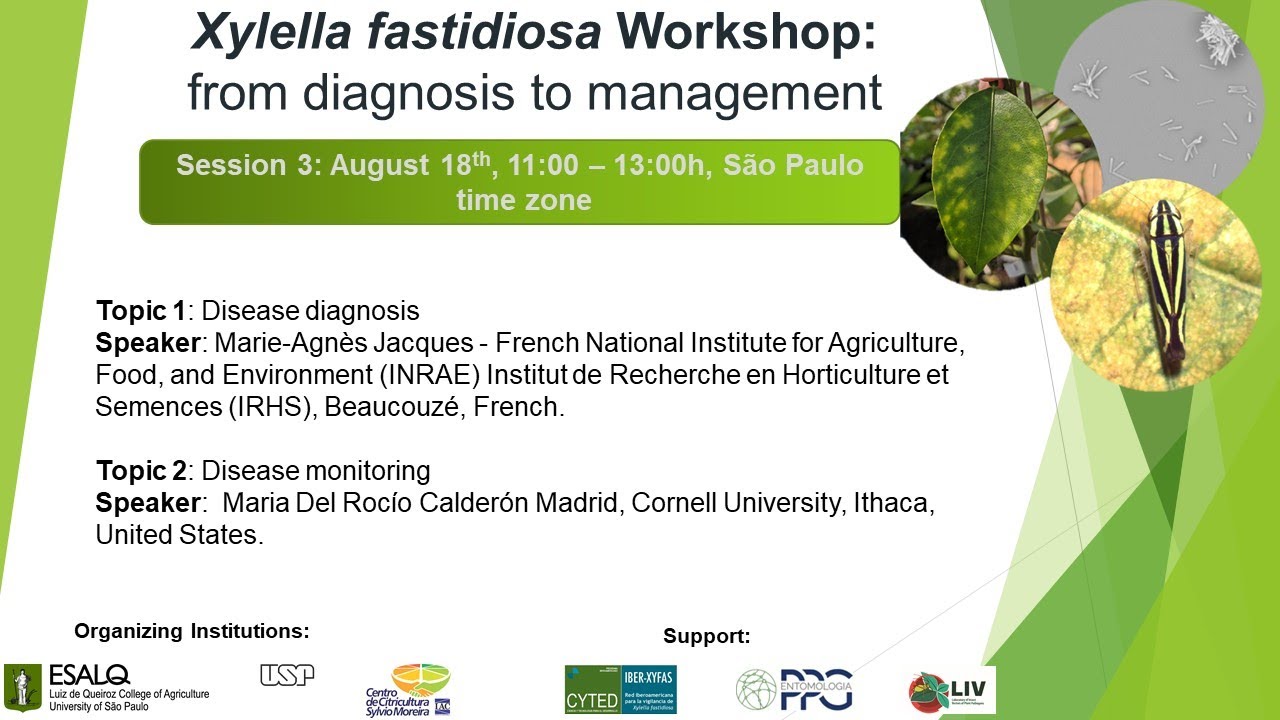 Xylella fastidiosa Workshop: from diagnosis to management -  Session 3 -  August 18