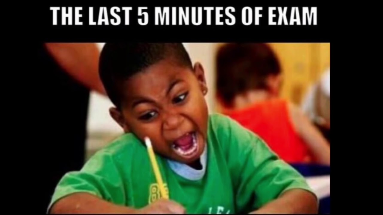 Final Exam Memes Compilations | Funny Video |