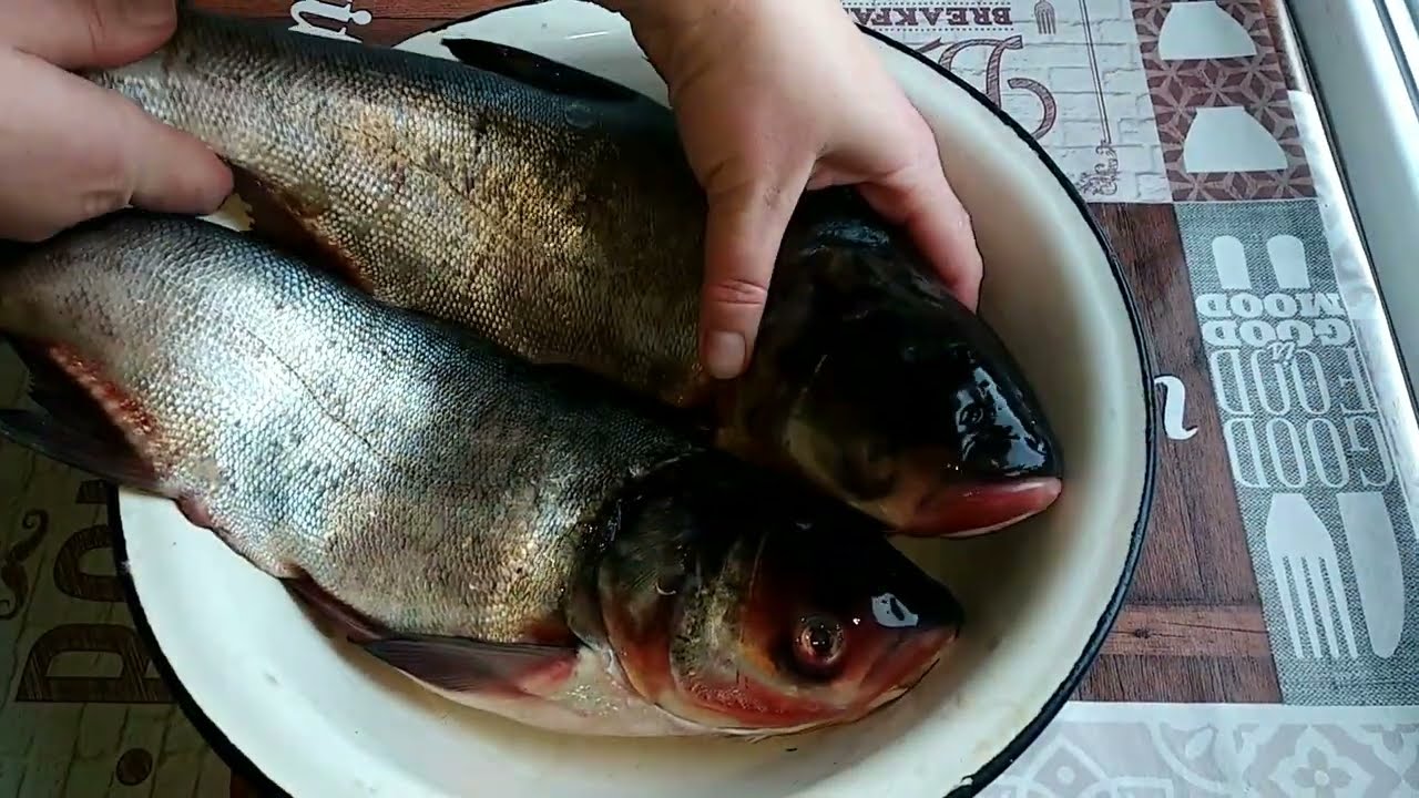 Хе из толстолобика.Хе с речной рыбы.#Хе из рыбы