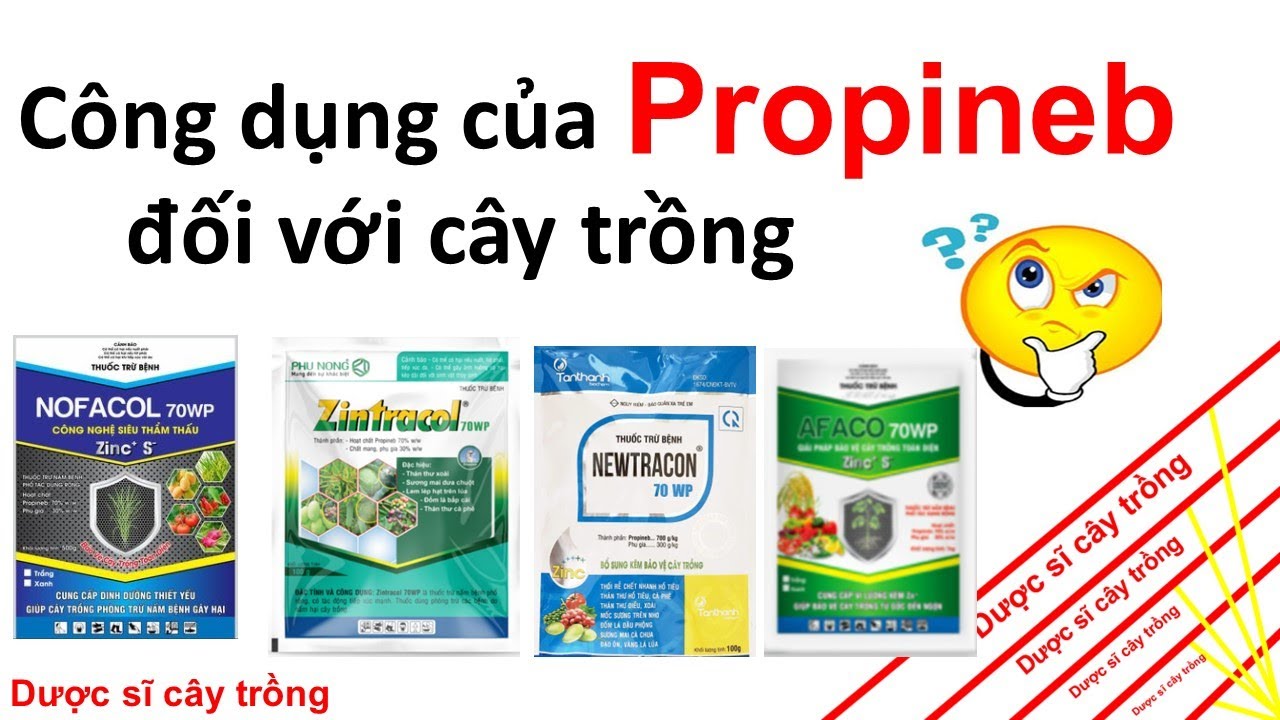 Bạn c&oacute; biết c&ocirc;ng năng của hoạt chất Propineb chưa? | Bayer | ADC | Corteva | thuốc trừ bệnh