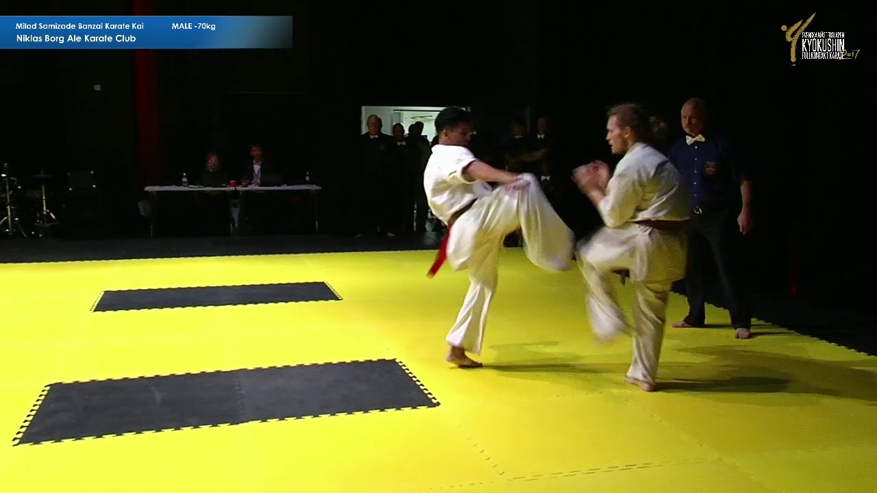 Milad Samizade vs Niklas Borg