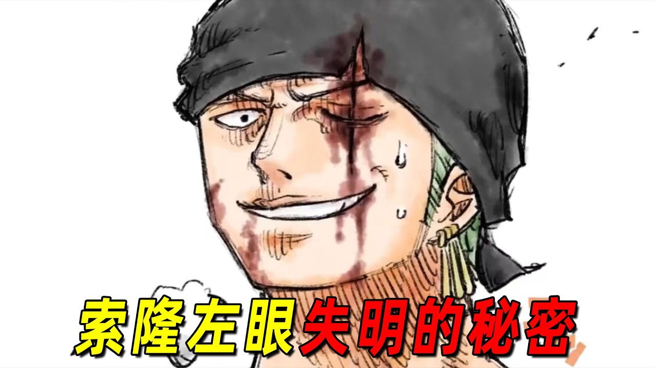 【海贼王】索隆左眼失明的真相！超级有趣的恶魔果实大盘点