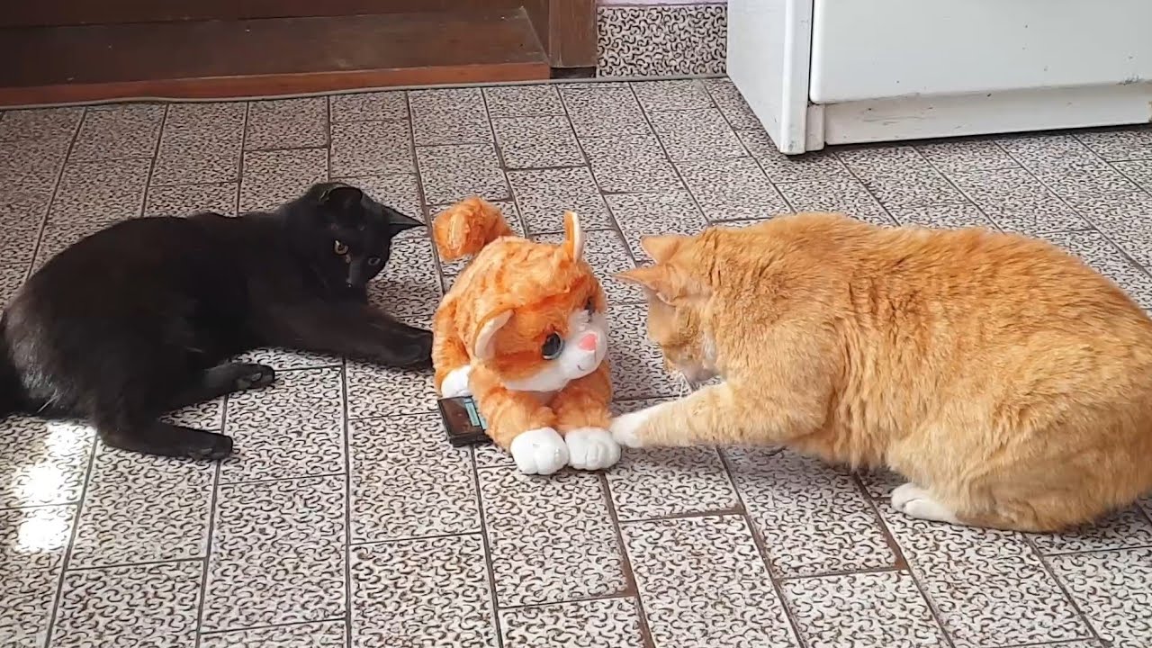 Pranking My Cats With A Fake Cat