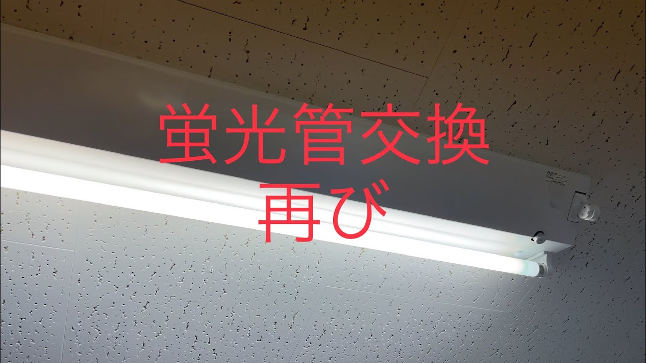 【cafe vlog】再び蛍光管交換【SUTTENDO COFFEE】
