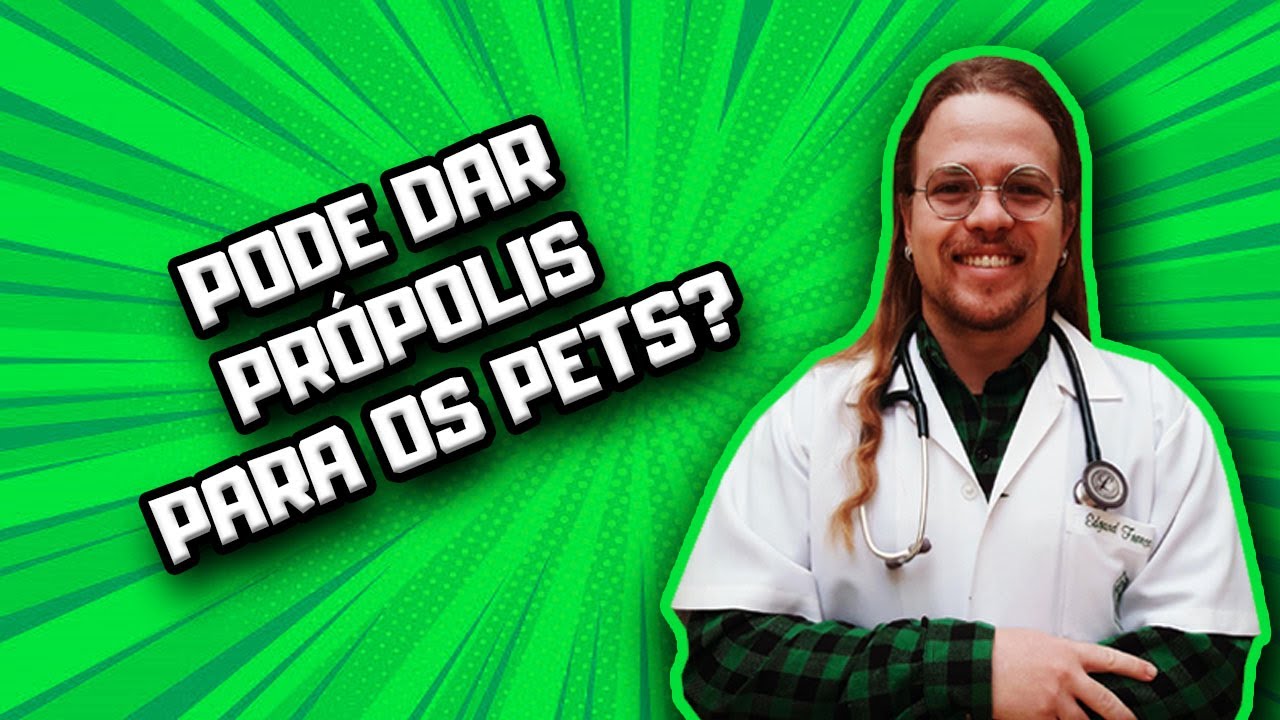 Pode dar Própolis para Cães e Gatos? | Dr Edgard Gomes