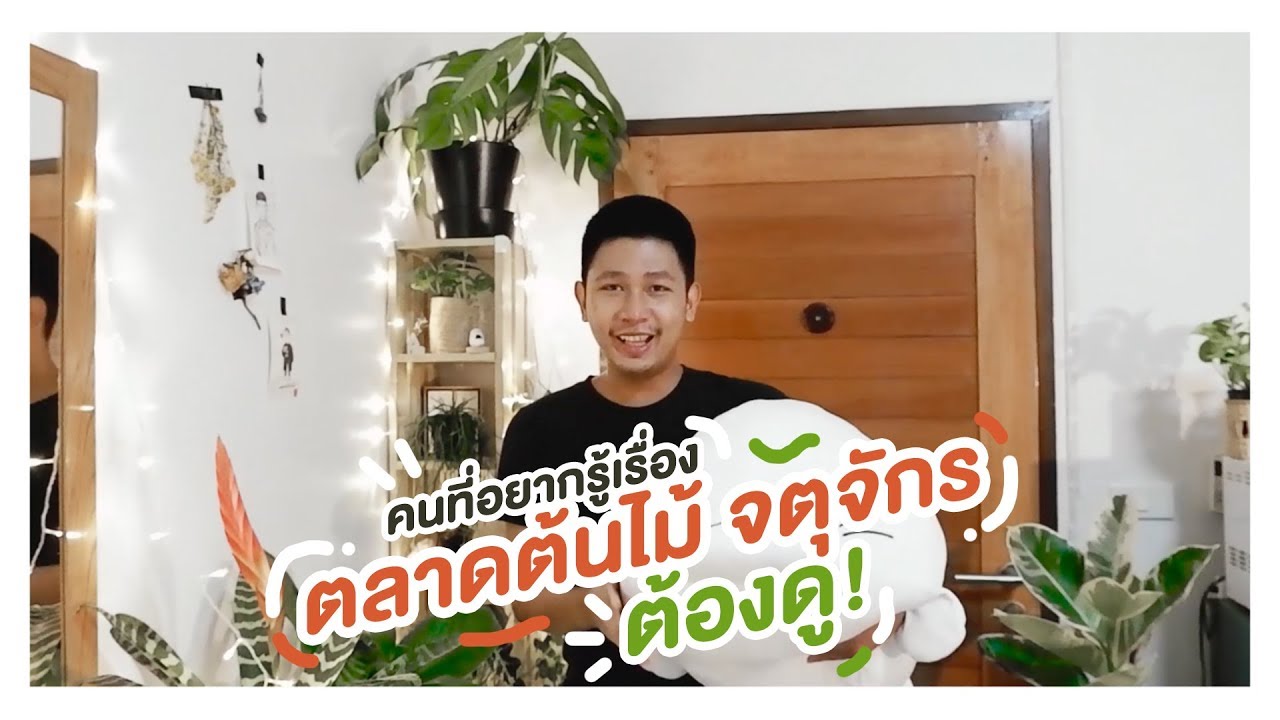 รายการรังรัก EP.3 | #ไขข้อข้องใจเกี่ยวกับตลาดต้นไม้จตุจักร ใครที่อยากรู้ต้องดู