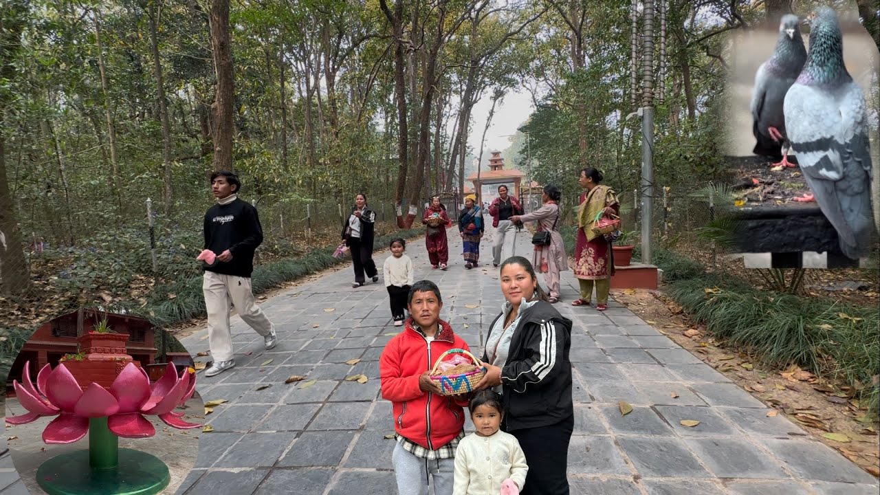 ३ दिन को भर्मण सक्केर घर फर्कियो#min joi#villagevlog 
