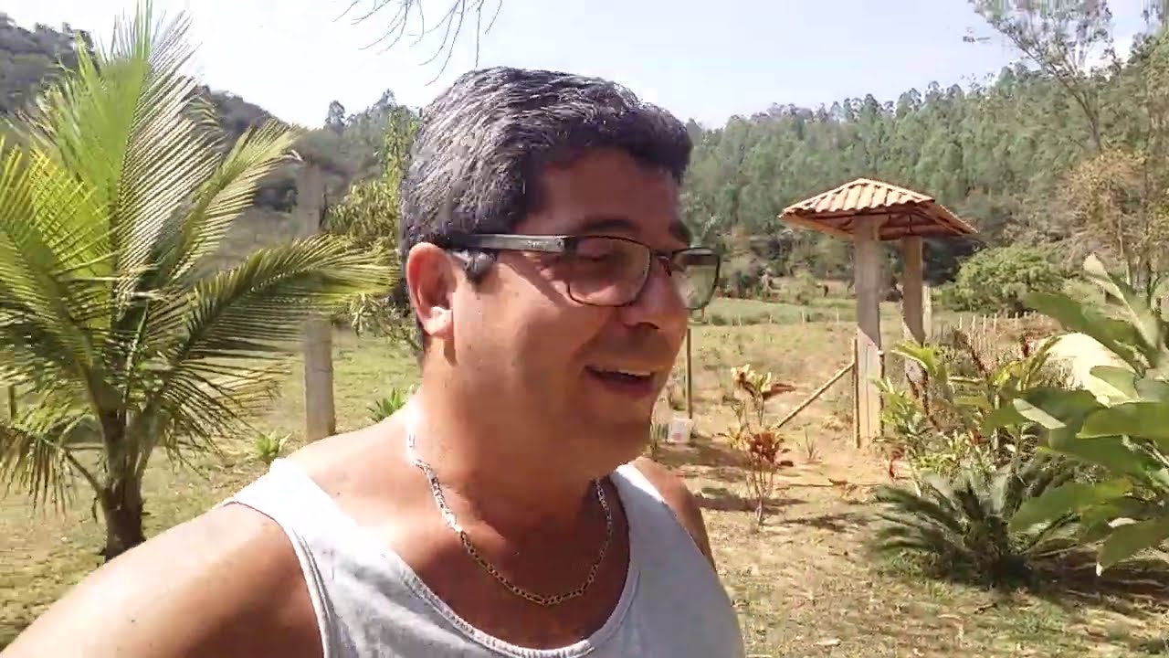 Fusariose-doen&ccedil;a do abacaxi