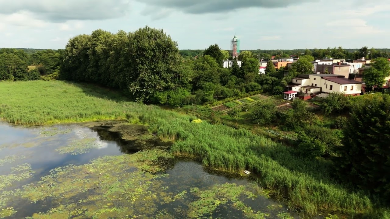 Złotów - Jezioro Burmistrzowskie - 2025-07-19