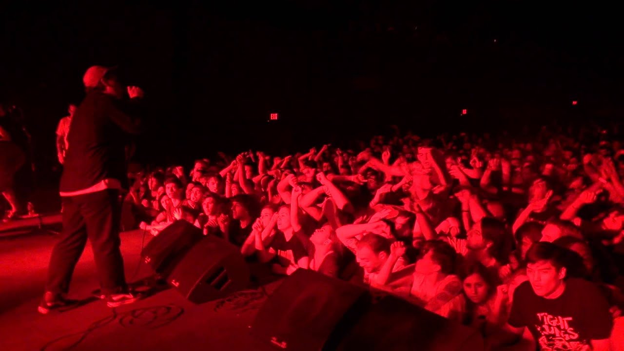 Basement - Whole