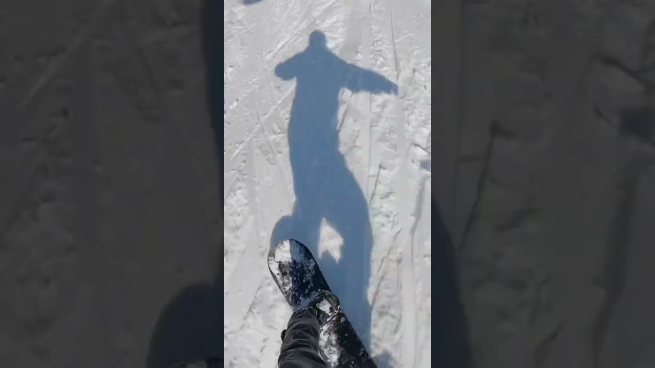 Fakie 180 Noseroll To Shifty Tailpress