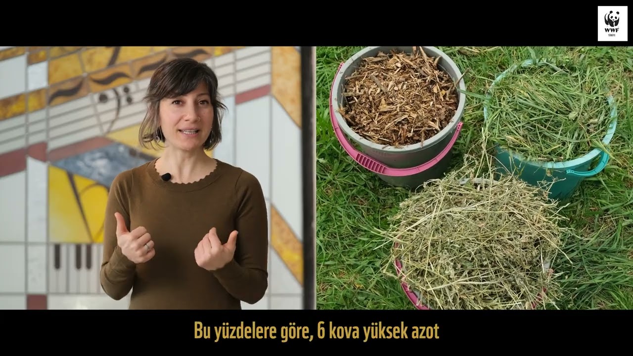 Kompost Yapmanın Temel İlkeleri
