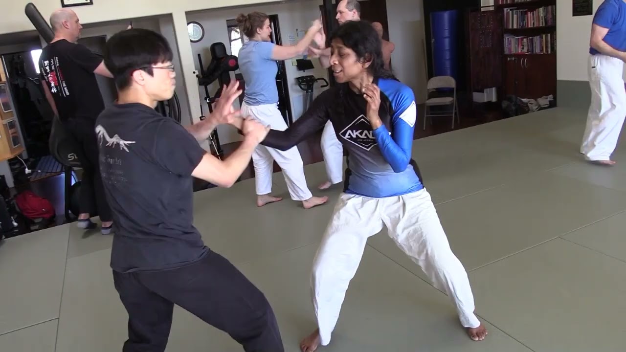 Shoshin Ryu Black Belt Training 2024 Jan   HD 1080p