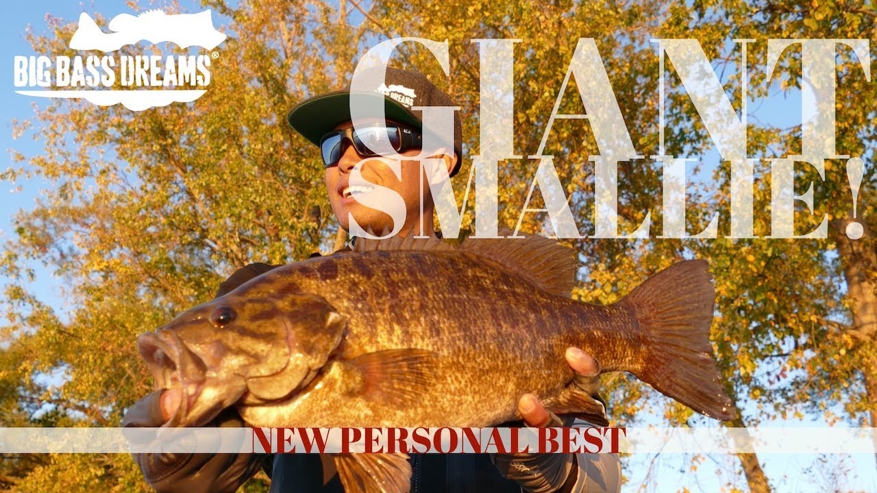 Biggest Smallmouth from Lake Ontario NEW Personal Best