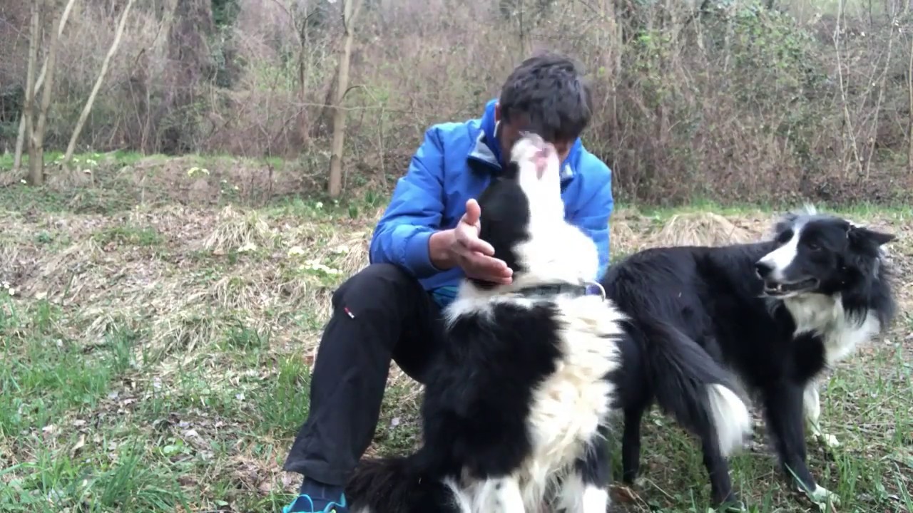 tu hai i border è facile...