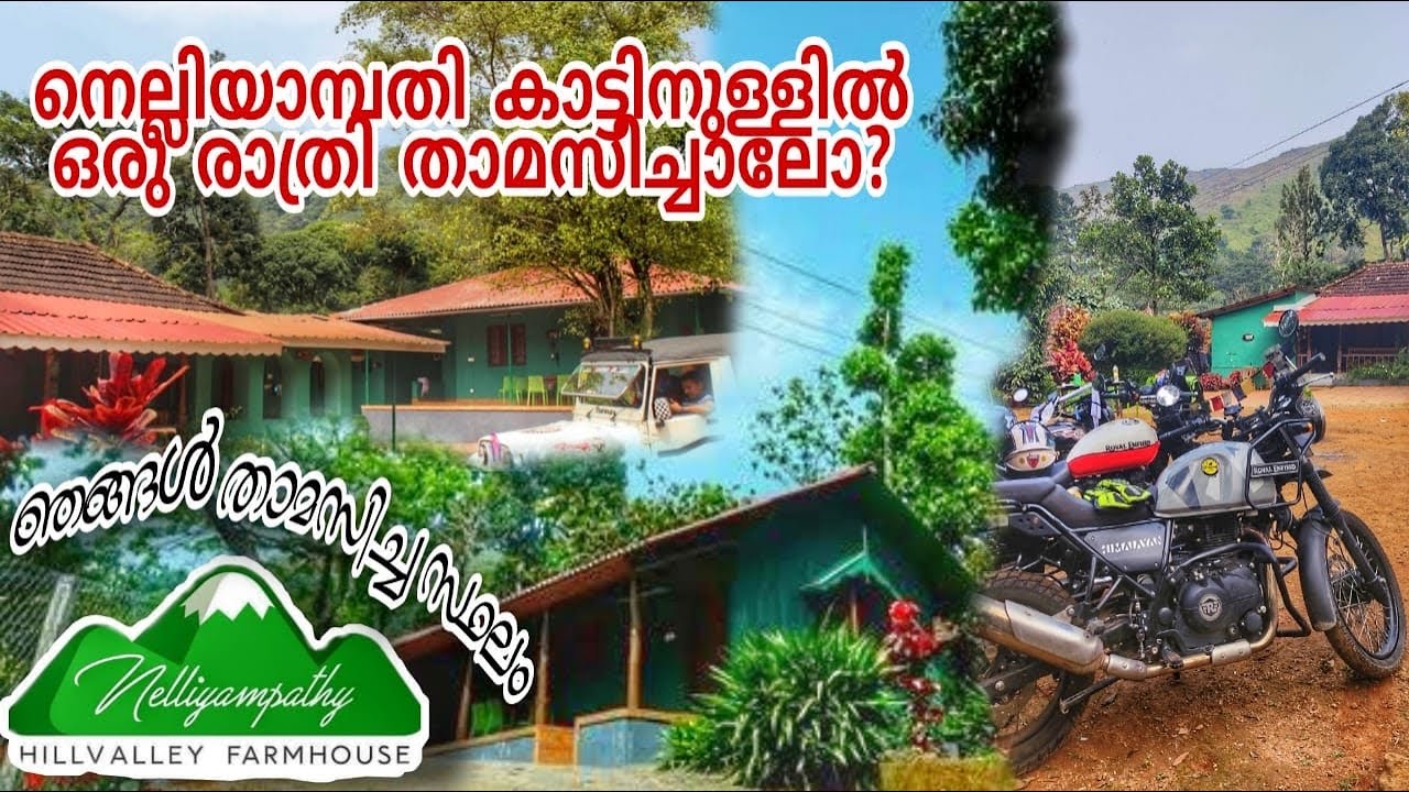 HILLVALLEY FARMHOUSE IN NELLIYAMPATHY |കാട്ടിന് നടുക്ക് സുരക്ഷിതമായി ഒരു രാത്രി