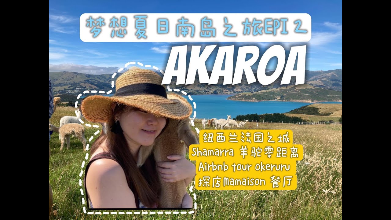 纽西兰法国城Akaroa l 海景Shamara草泥马体验 l 探店法式餐厅Ma Maison l 体验设计师海洋与巴厘风格的Airbnb