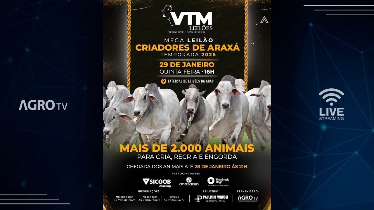 MEGA LEILÃO CRIADORES DE ARAXÁ - VTM E CONVIDADOS - 29/01/2026