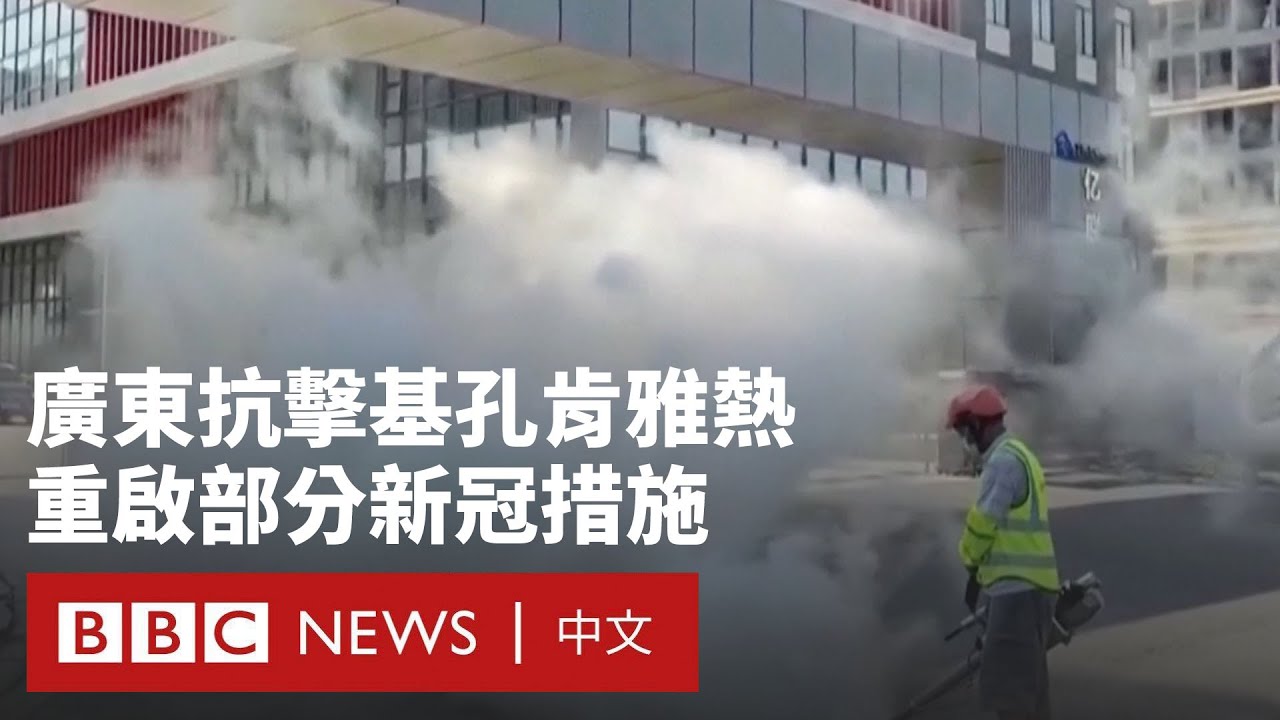 中國基孔肯雅熱超8000例：隔離、無人機巡查和「滅蚊魚」抗疫－ BBC News 中文  #屈公病