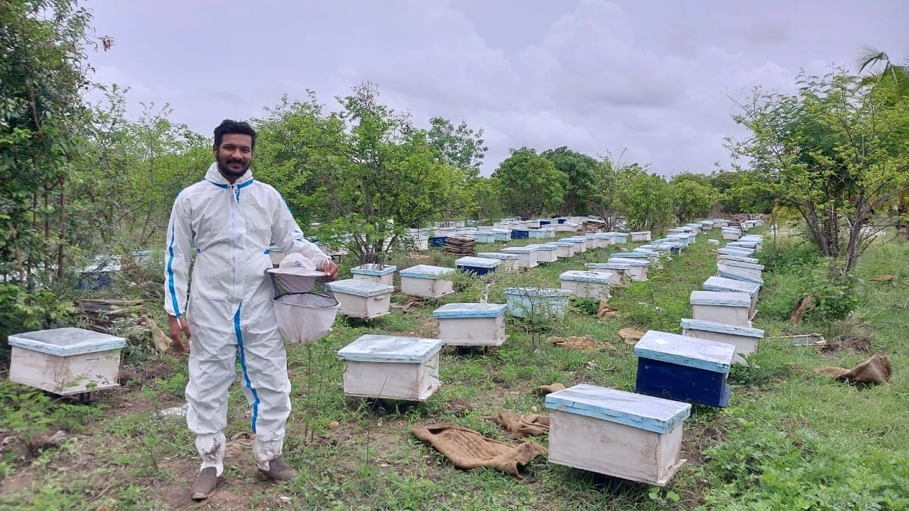 Harsha's Natural Honey || Natural Honey || 100% Pure Natural Raw Honey