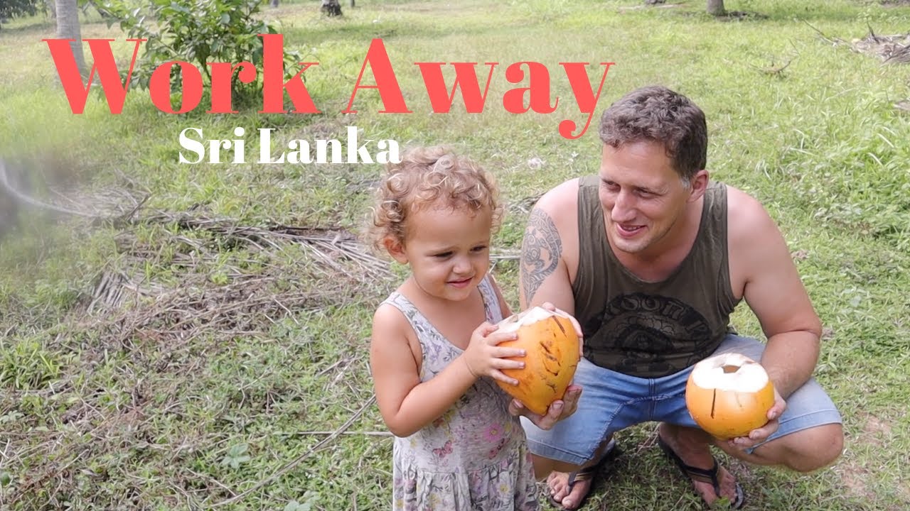 Workaway Sri Lanka, so sieht unser Arbeitstag hier auf der Plantage aus Sri Lanka Backpacking Tips