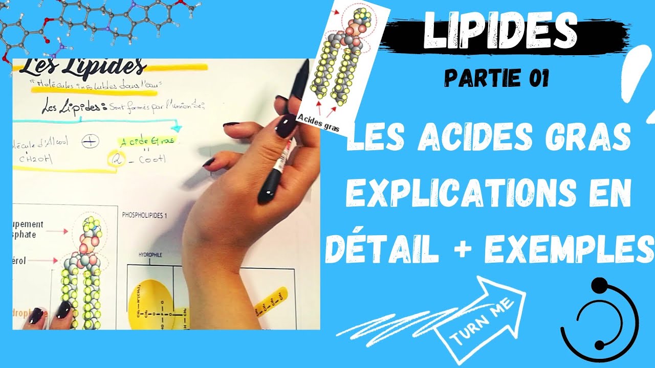📣(1) Les Lipides Partie1 :Les Acides Gras explication en détail + des exemples(اقوى مراجعة لللبيدات)