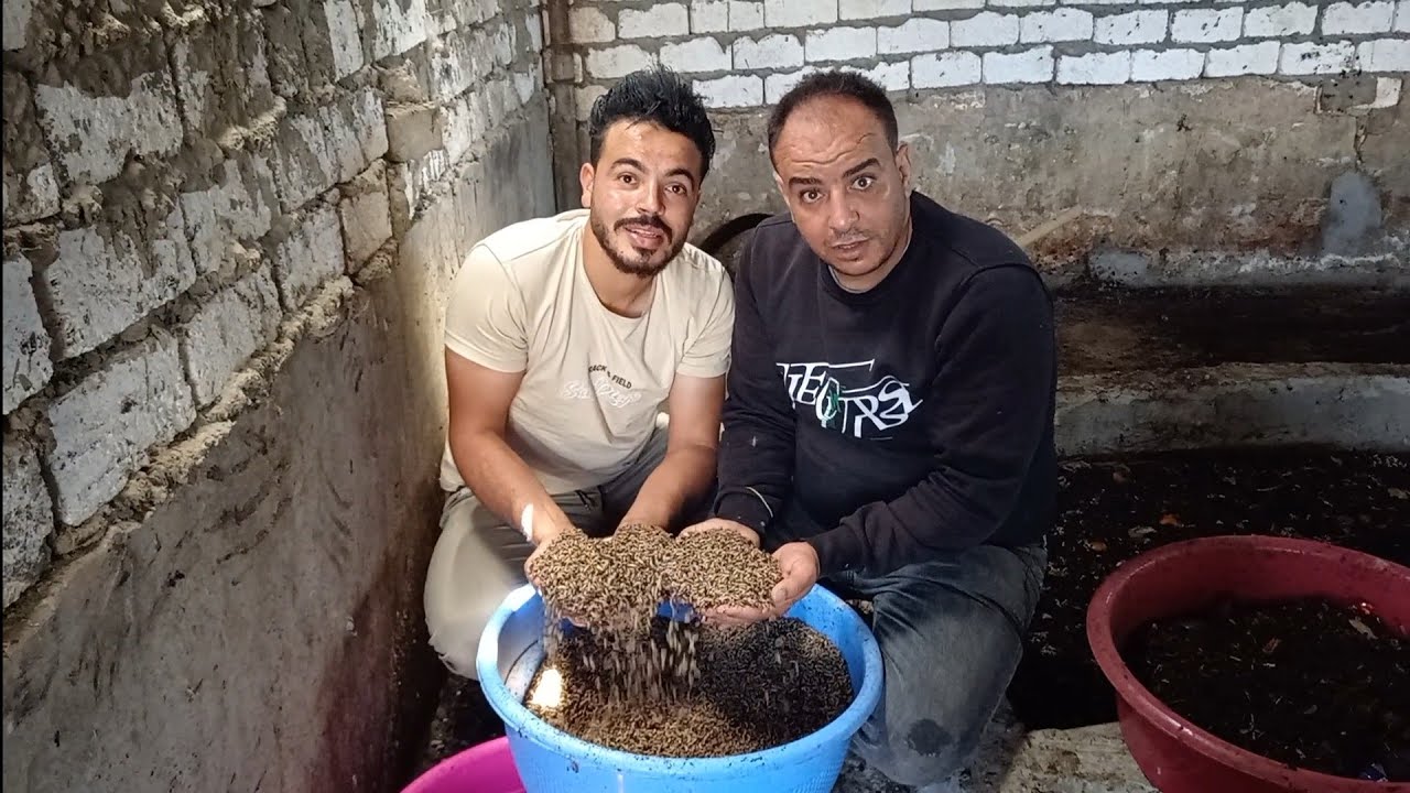 ارخص طعم لصيد السمك اسمع للاخر وروح اشتري الطعم بسرعه