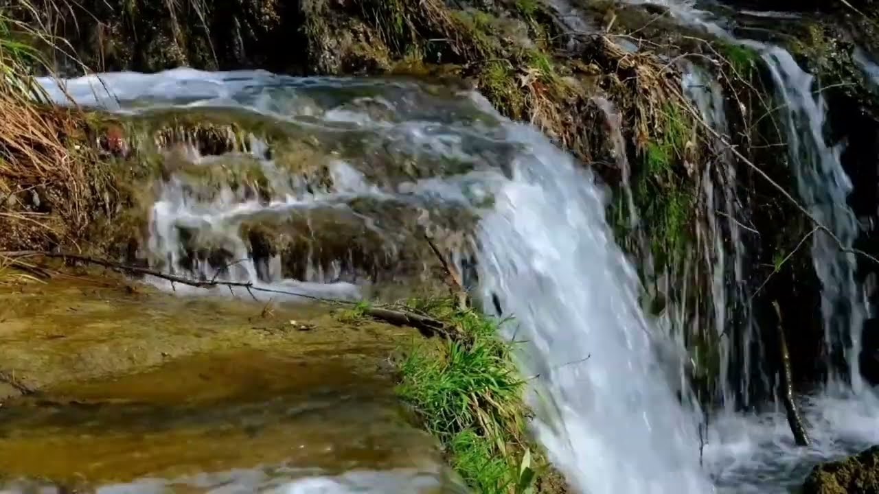 suara sungai alami