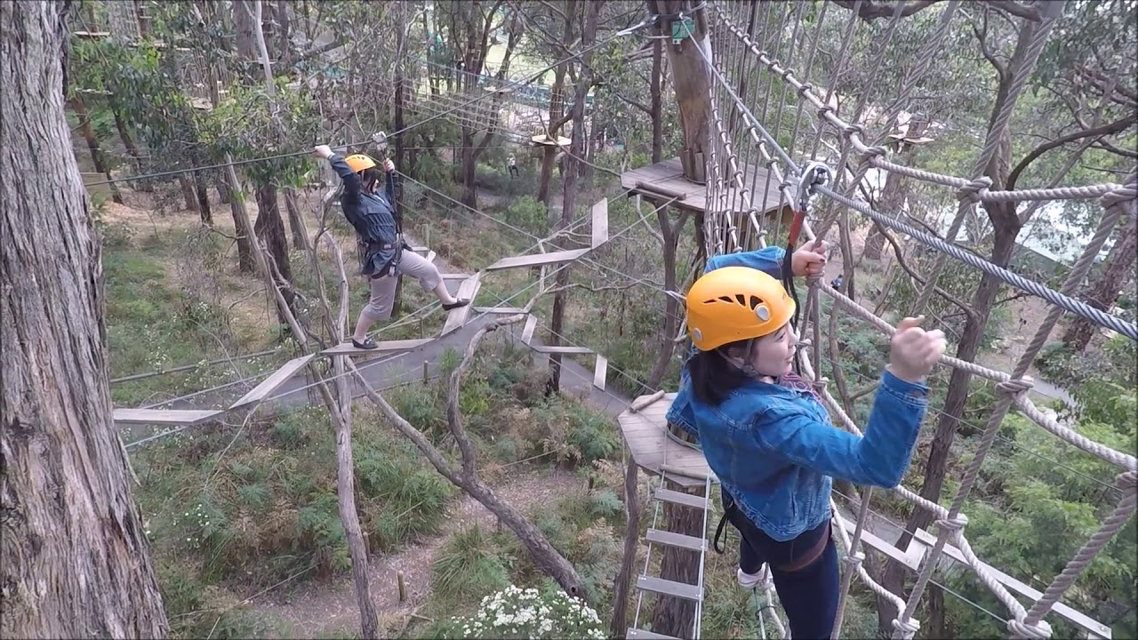 Enchanted Adventure Garden - Tree Surfing Melbourne