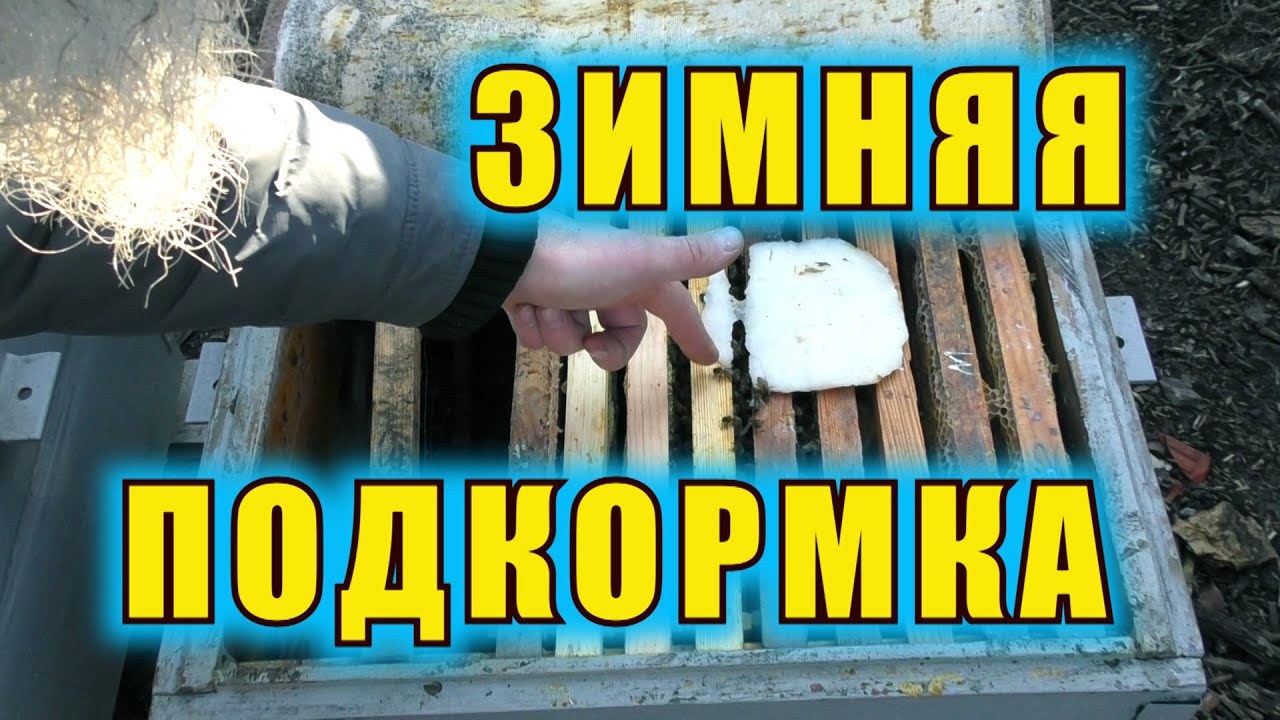 ЗИМНЯЯ ПОДКОРМКА ПЧЕЛ. КОГДА, КАК И ДЛЯ ЧЕГО КОРМИТЬ ПЧЕЛ ЗИМОЙ.